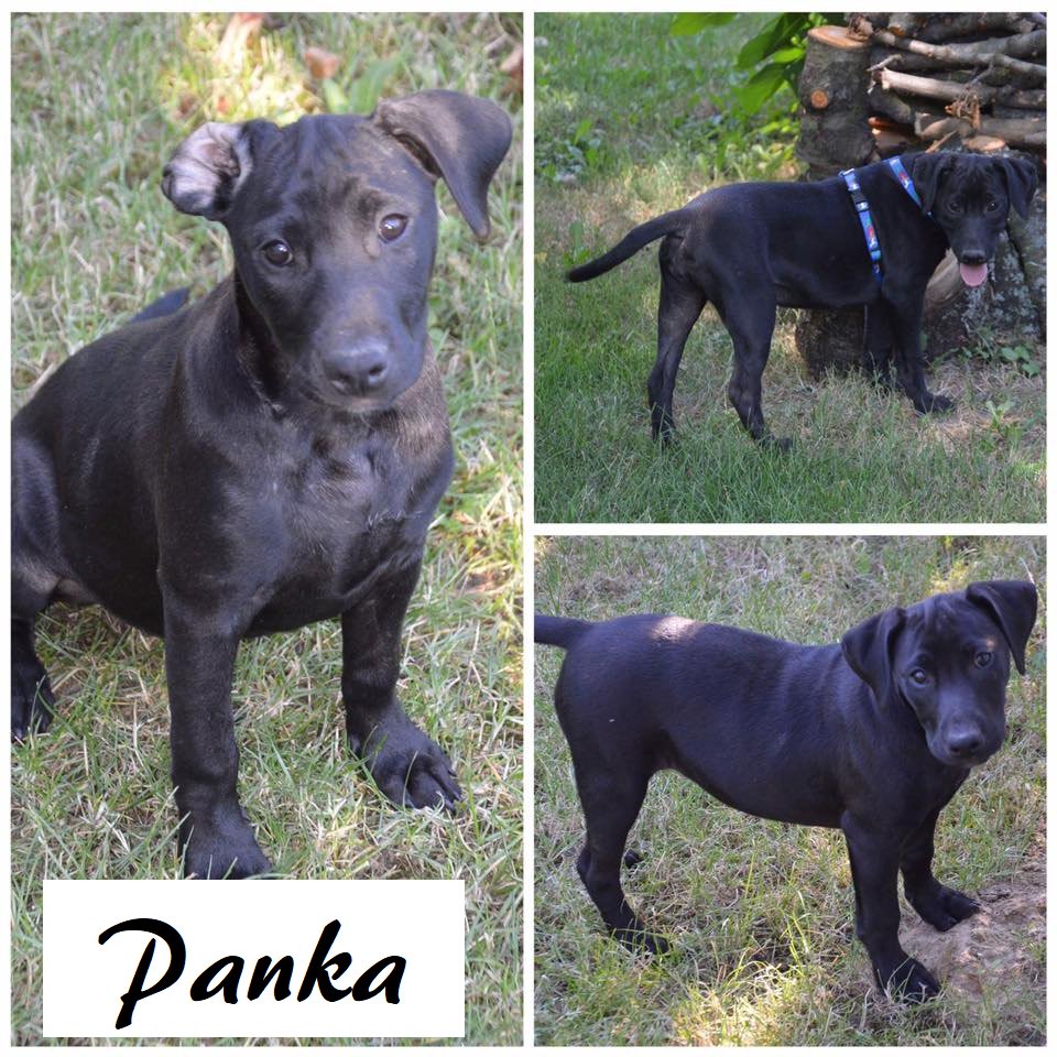 Nedda Matetics tweet media