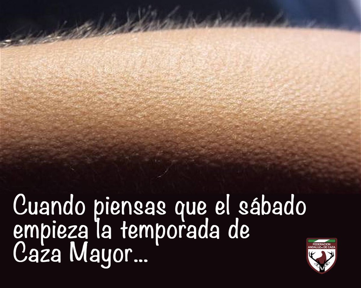 andaluciacaza's tweet photo. ¿Preparado? https://t.co/eNNb34cfY0
