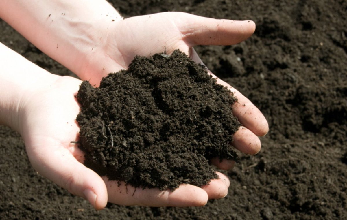 Jain Irrigation USA tweet media