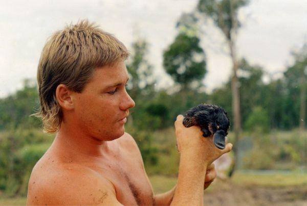 HistoryInPics's tweet photo. Steve Irwin with a baby platypus, 1980s. https://t.co/Y9ZZ7jtWKx