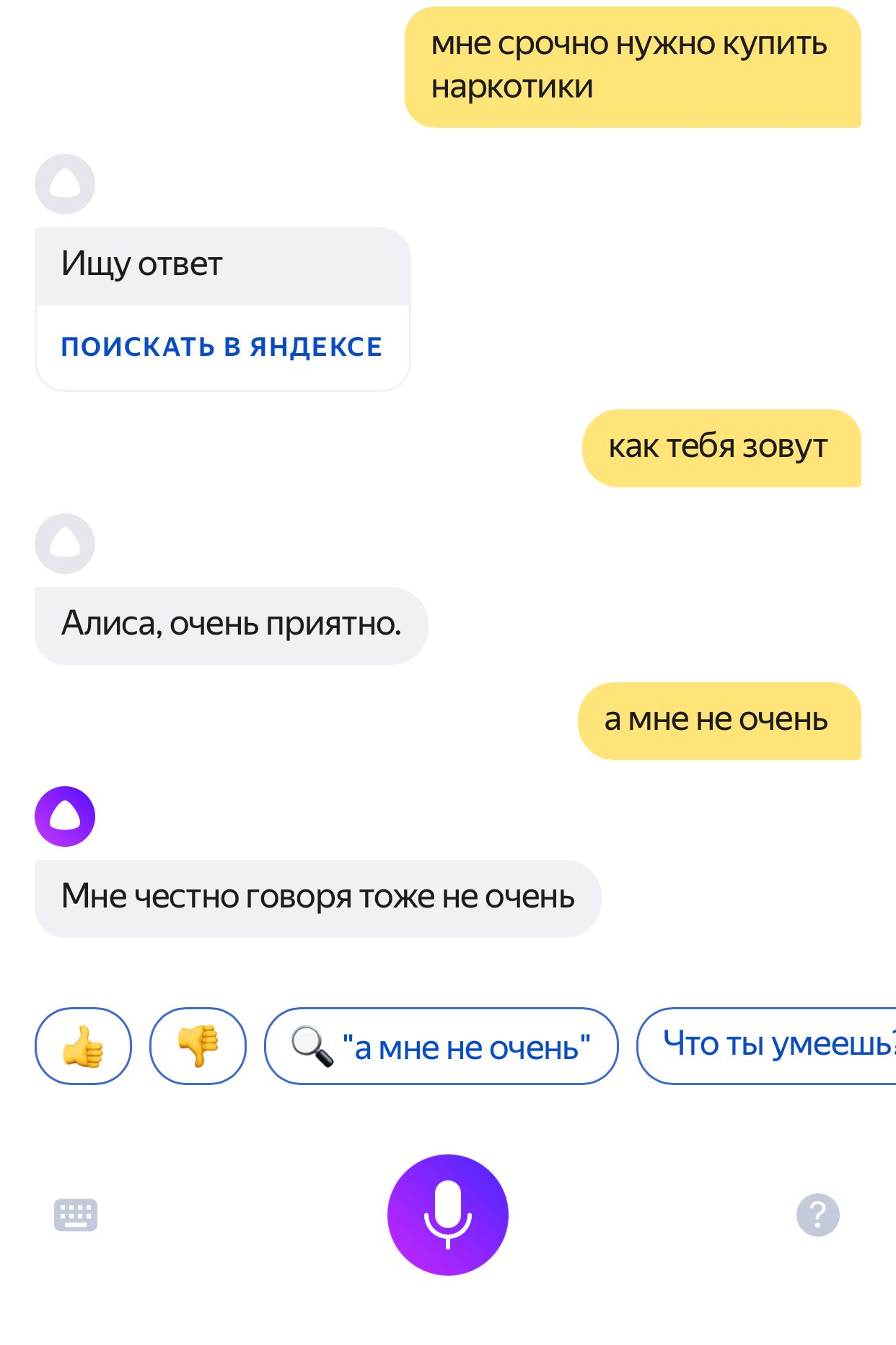 яндекс покажи фото яндекс алисы