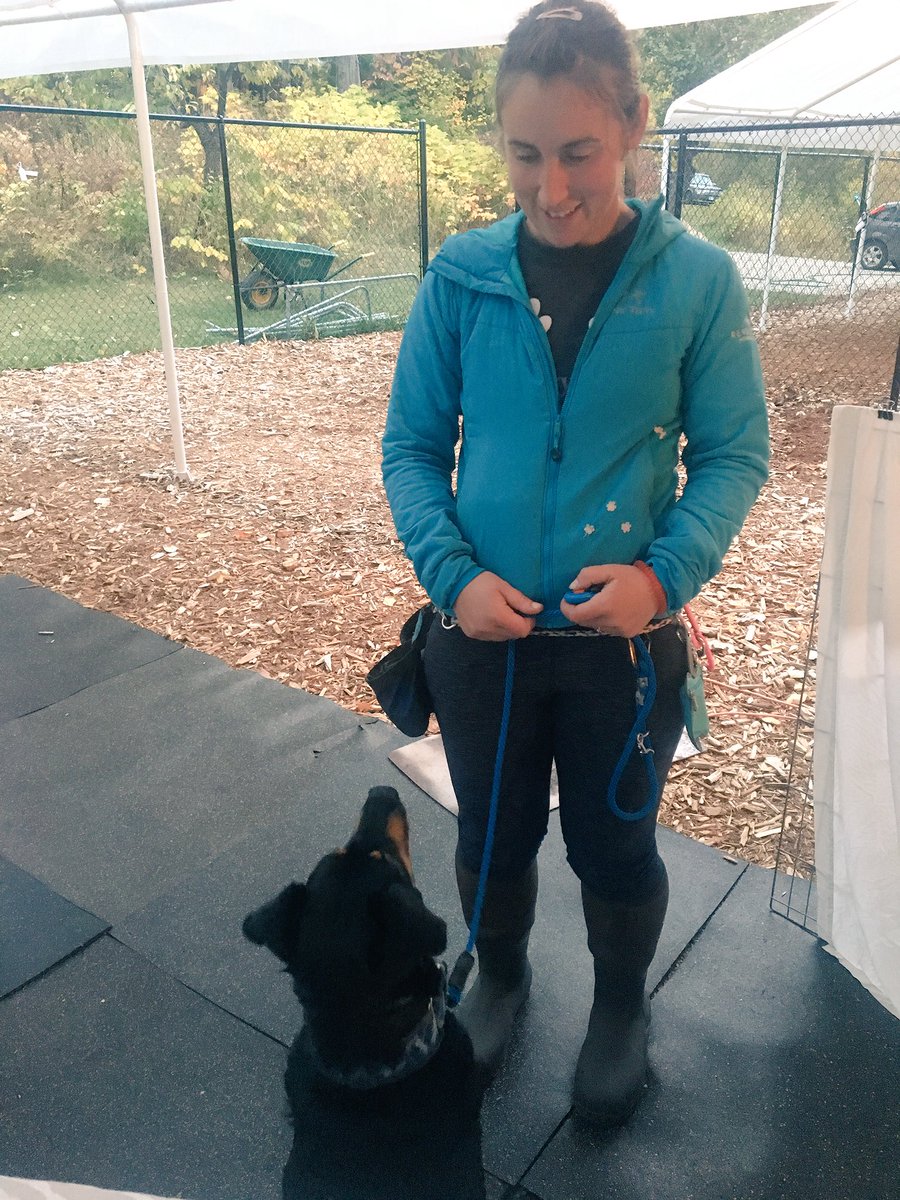 nperryanimal's tweet image. A very focused Rambo and his human, Marika in my #revelstoke #reactiverover Course! #gooddog #clickertraining