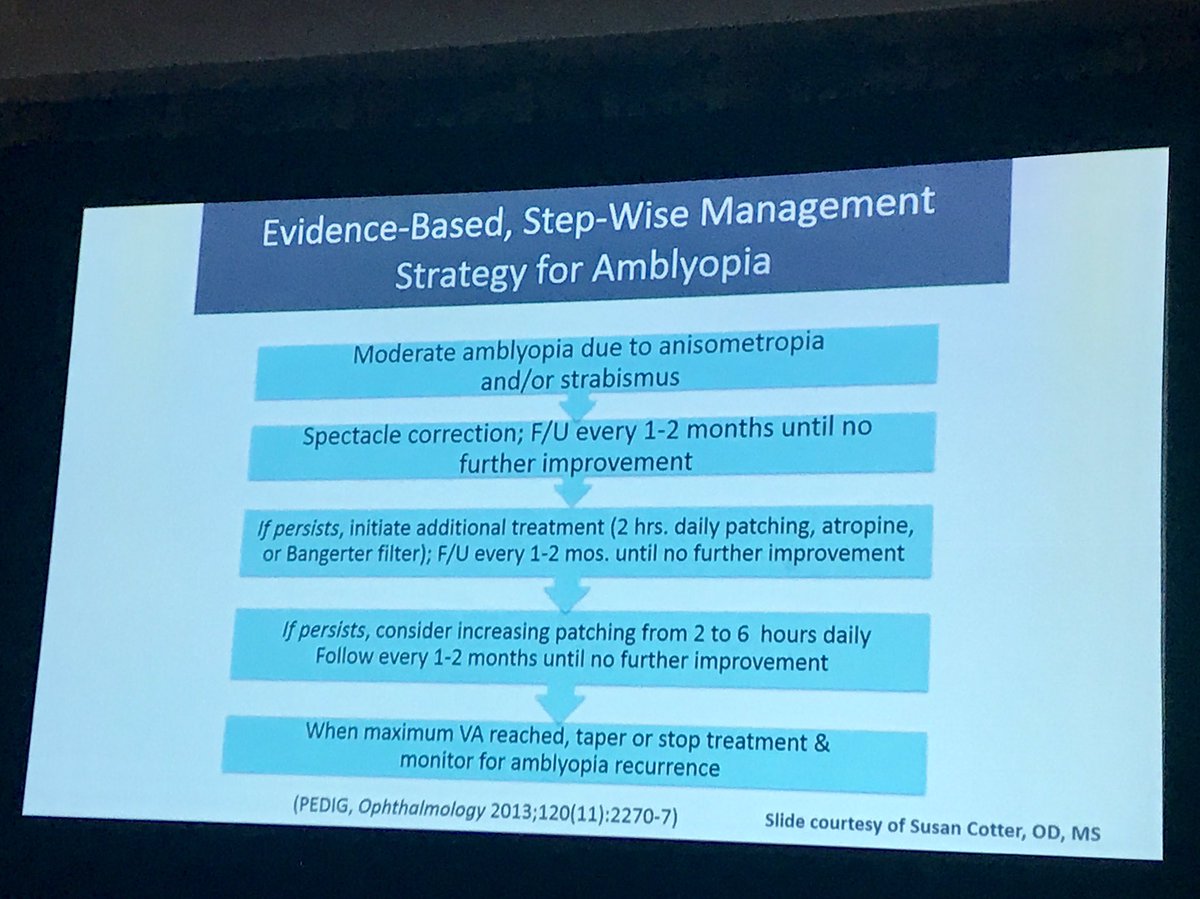 l_chous's tweet photo. Management of #amblyopia #PEDIG #AAO2017 https://t.co/mAOyPX3Vvh