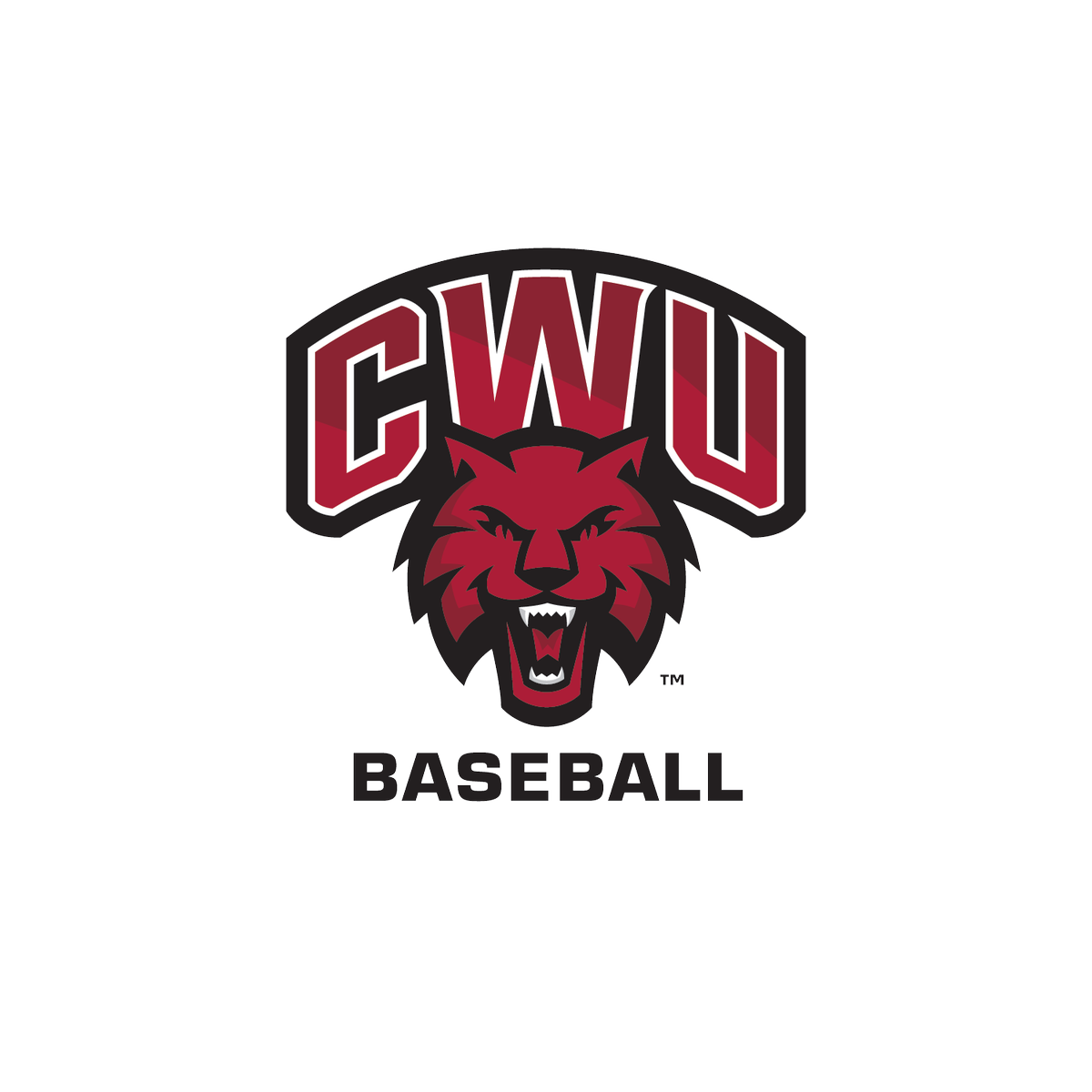 CWUBaseball's tweet photo. Want to be apart of the Wildcat Baseball? Winter Prospect Camp is on December 3rd, 2017. Registration is online at https://t.co/FuihwwF2rL https://t.co/0Qkj2QsBKI