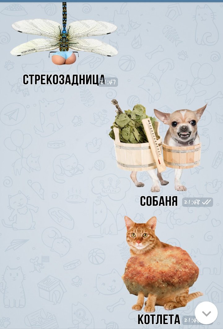 twilightwolf71's tweet photo. Мой уровень подготовки к зоологии https://t.co/sRAXn1NwwV