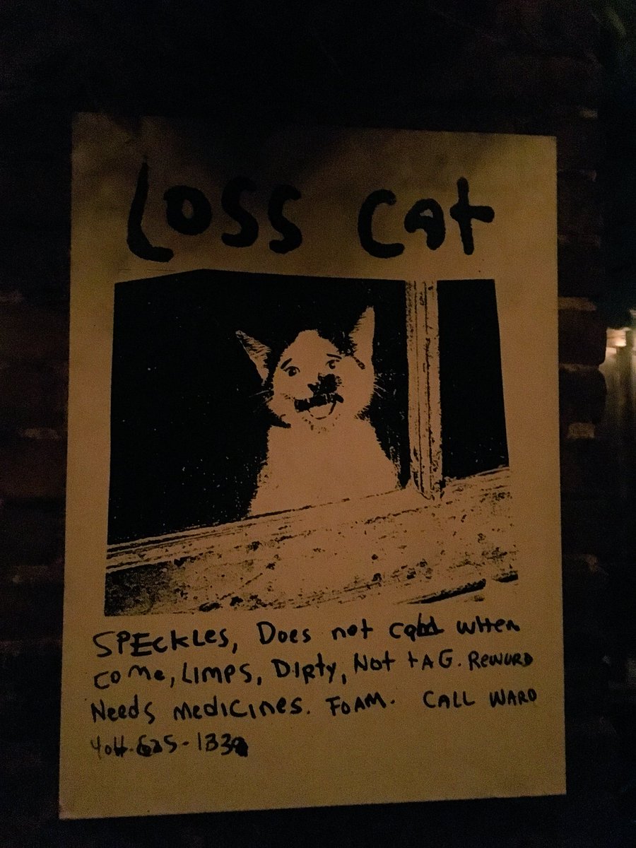 fascinated's tweet photo. @LostCatNYC nice https://t.co/LSLKwiLqjE