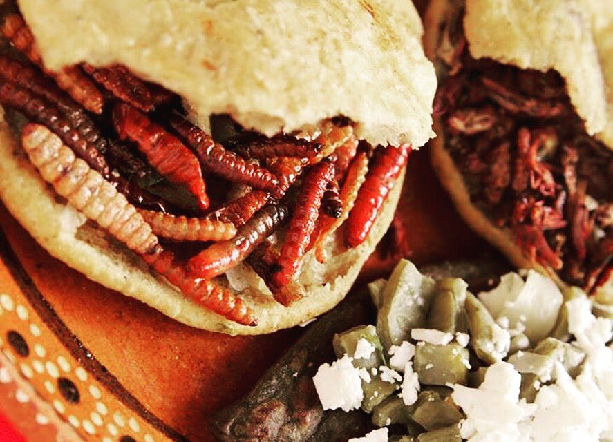 ¿Gordita de chinicuiles?¿Tlayuda de chapulines? sólo en #Tlacoyotitlan nuestra recomendación garnachera del #Miércoles 😍 #GranMitla #CDMX