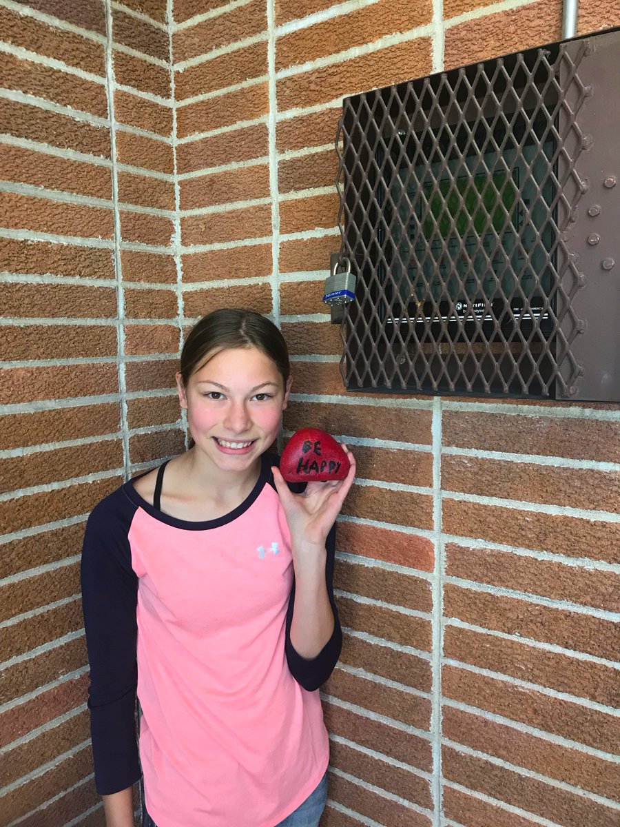 d_mazour's tweet photo. Spreading Happiness...one rock at a time. 🙂 #308ROCKS #GINWVikings https://t.co/GiuMRts4dw