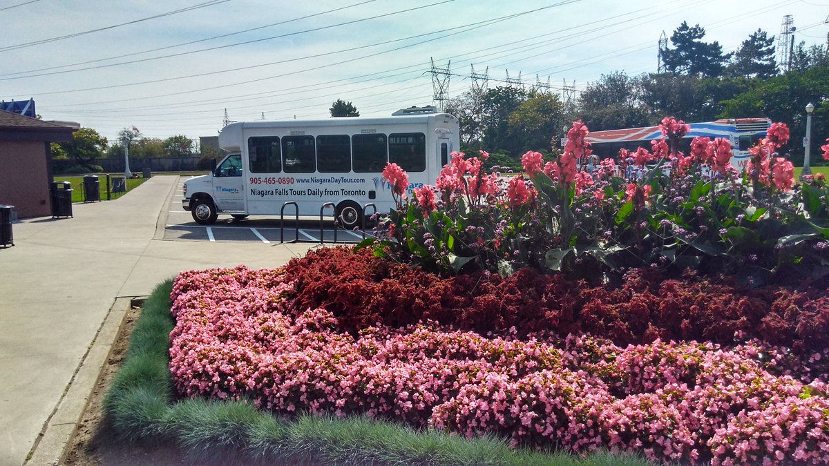 NiagaraDayTour's tweet photo. A beautiful day on the Niagara Day Tour @NiagaraDayTour https://t.co/G1Unn4wfvo