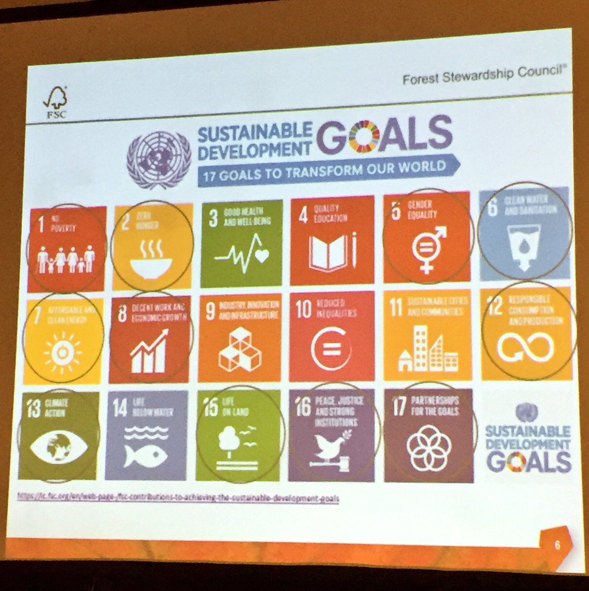 IdaRehnstroem's tweet photo. @johnhontelez : The 11 of 17 SUSTAINABLE DEVELOPMENT GOALS relevant to forest and FSC #FSCGA2017 #fscga #sdg https://t.co/VYQH0wmCai