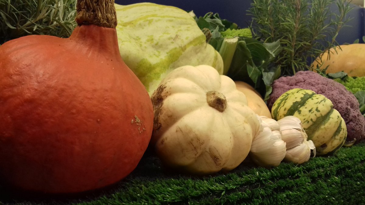 Damian Blake tweet media