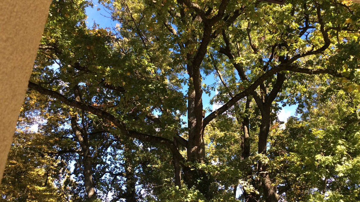 BeautyShortlist's tweet photo. Look up
#lesstech
#morenature https://t.co/VkOMkJy0gO