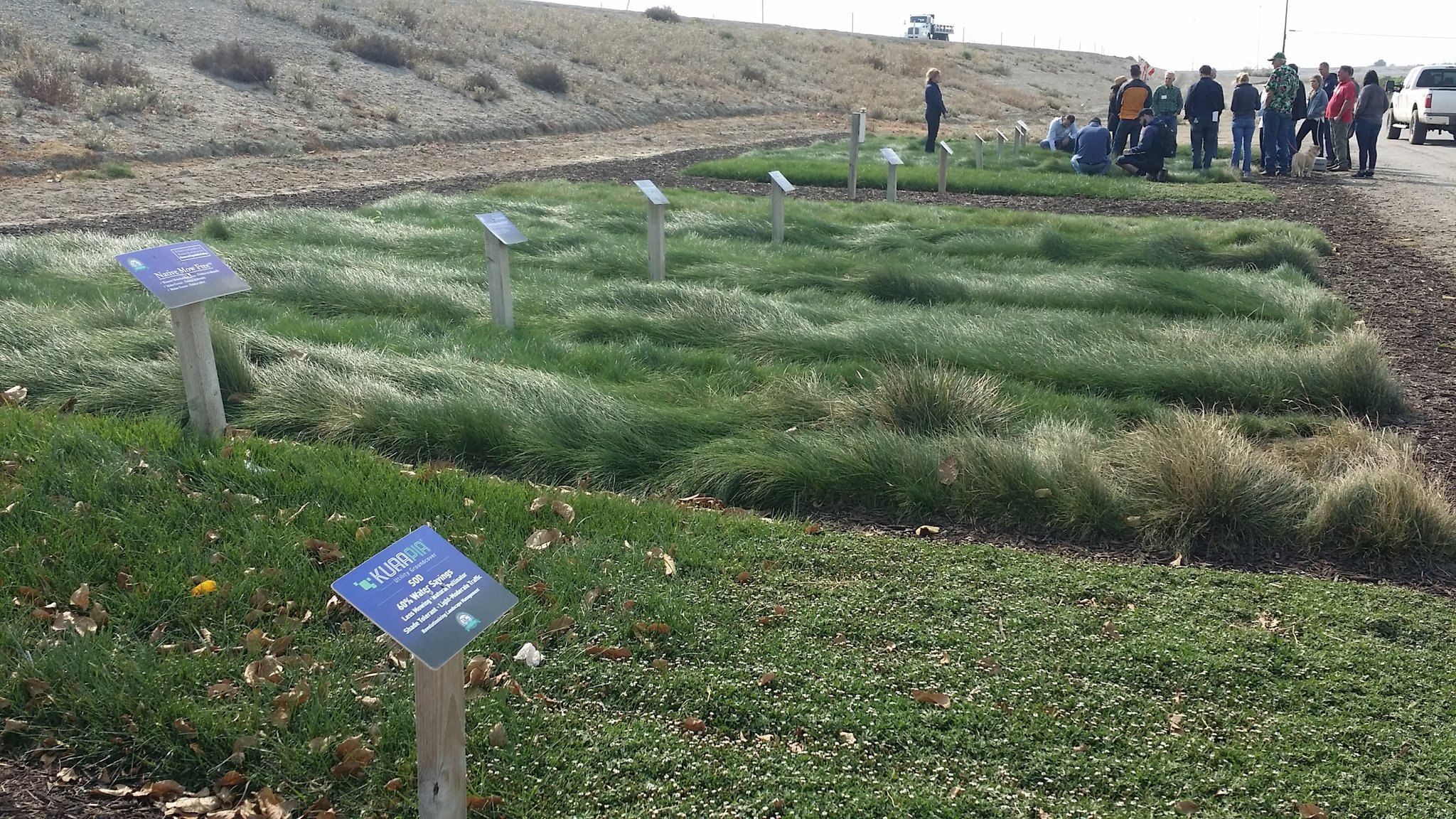 Evergreen Turf On Twitter Touring Delta Bluegrass Learning About Native Grass Sod Production For Responsible And Sustainable Landscapes Https T Co Wyfmqnyfbt Twitter