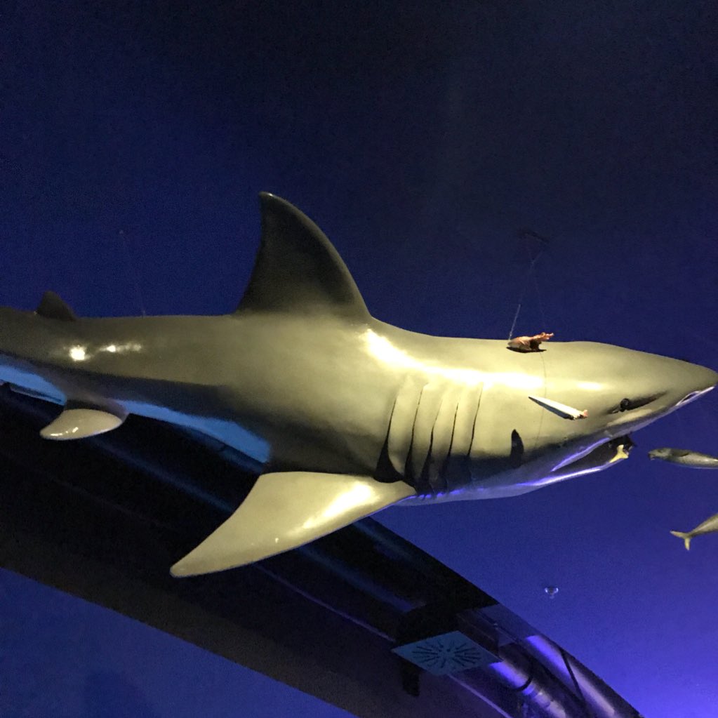 الراعي tweet media