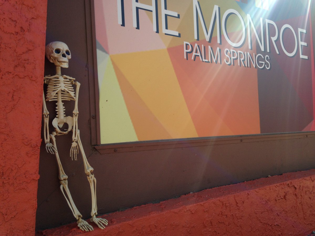 Make no bones about it, it's October and we're getting into the spirit here #atthemonroe #palmsprings. #halloween #hotel #boutiquehotel