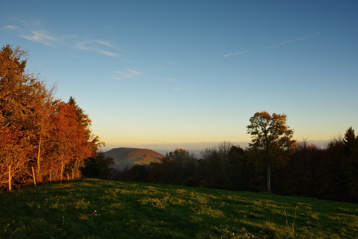 lubuwetter's tweet photo. #goldenhour am #Passwang im Kanton #Solothurn https://t.co/i1rAqLJjBc