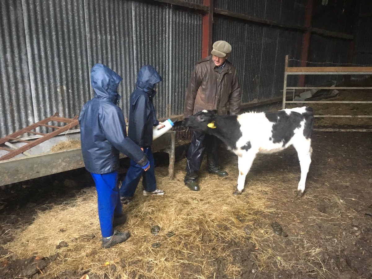 CConnor_OBT's tweet photo. Team Muir had some epic adventures in tough wet/windy conditions but spirits were high &amp; kept going #beachexplore #farmlife @waverley_abbey https://t.co/uedpbKSO1H
