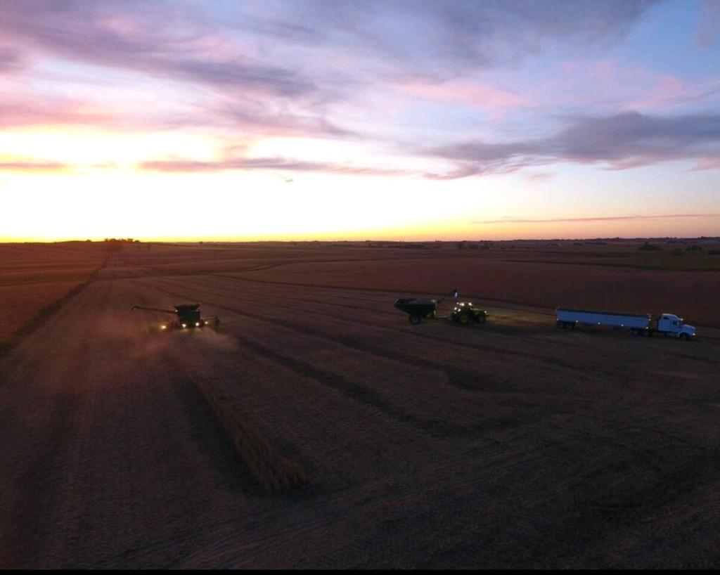 PioneerSeeds's tweet photo. Great photo! RT @AlexTreBeck07 #YieldHero aerial shot at dusk for @DuPontPioneer P24T93R's. #BinBusters https://t.co/jHPv6dfgw2