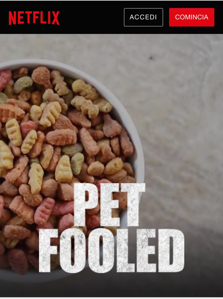 netflix pet food