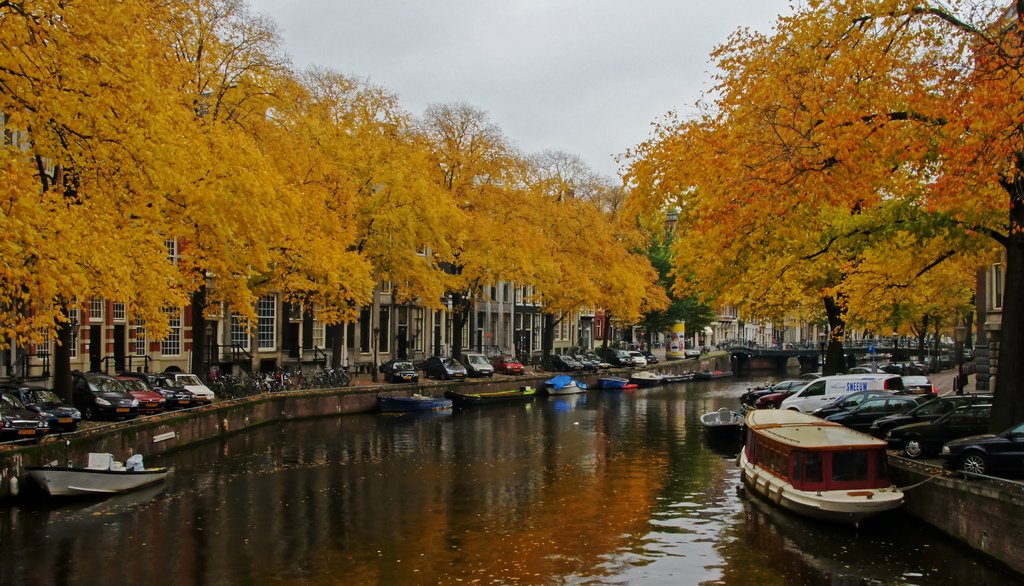 What to do in #Amsterdam during #Autumn bit.ly/2xzKm39