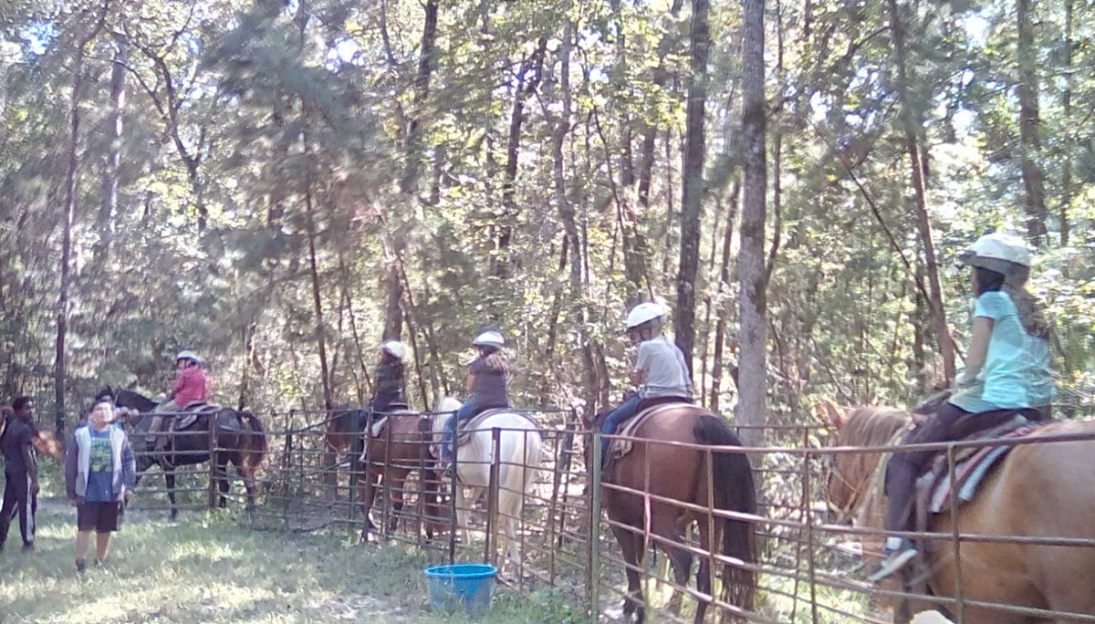 vcox3's tweet photo. Fifth graders go horseback riding in the afternoon and learn about pioneering. #Sinclair_ES https://t.co/TDRxogzv04