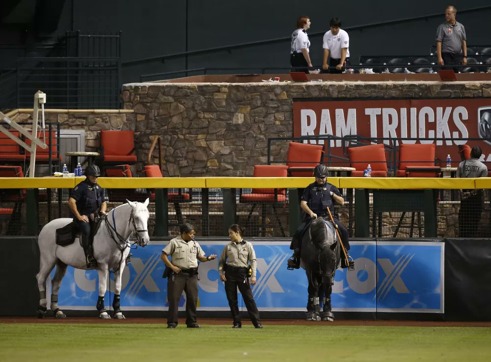 ZachTrichakVO's tweet photo. We may have gotten swept but at least our pool was safe #ProtectThePool #Dbacks #NLDS https://t.co/AavO4iGDmu