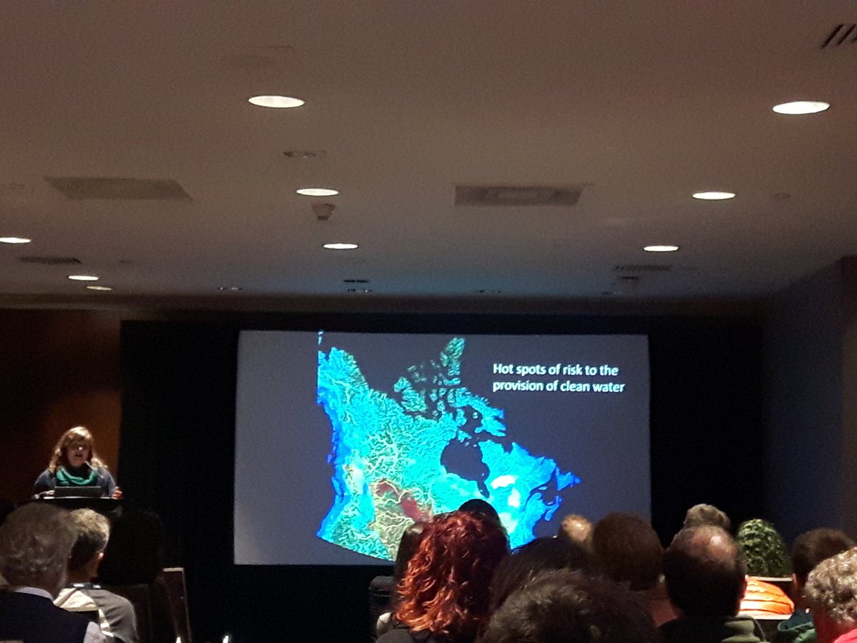 StaceyRDevlin's tweet photo. By combining maps of water demand and pressure on rivers, Camille Dallaire creates a compelling picture of rivers at risk #nacis2017 https://t.co/rLCcSkxbIM