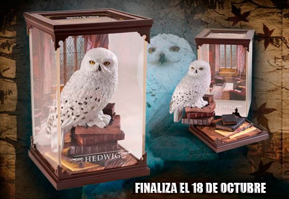 ¡SORTEAMOS UNA CAJA TEMÁTICA DE HEDWIG! ⚡️

Para participar:
- Haz RT
- Sigue a <a href="/cuernavilla/">Cuernavilla.com</a> y <a href="/Hogwartssite/">Hogwarts</a>