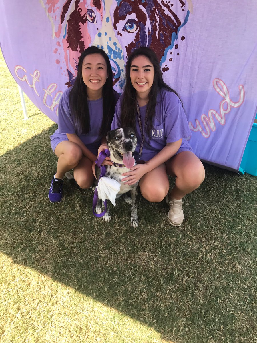 Cookie L Perniciaro tweet media