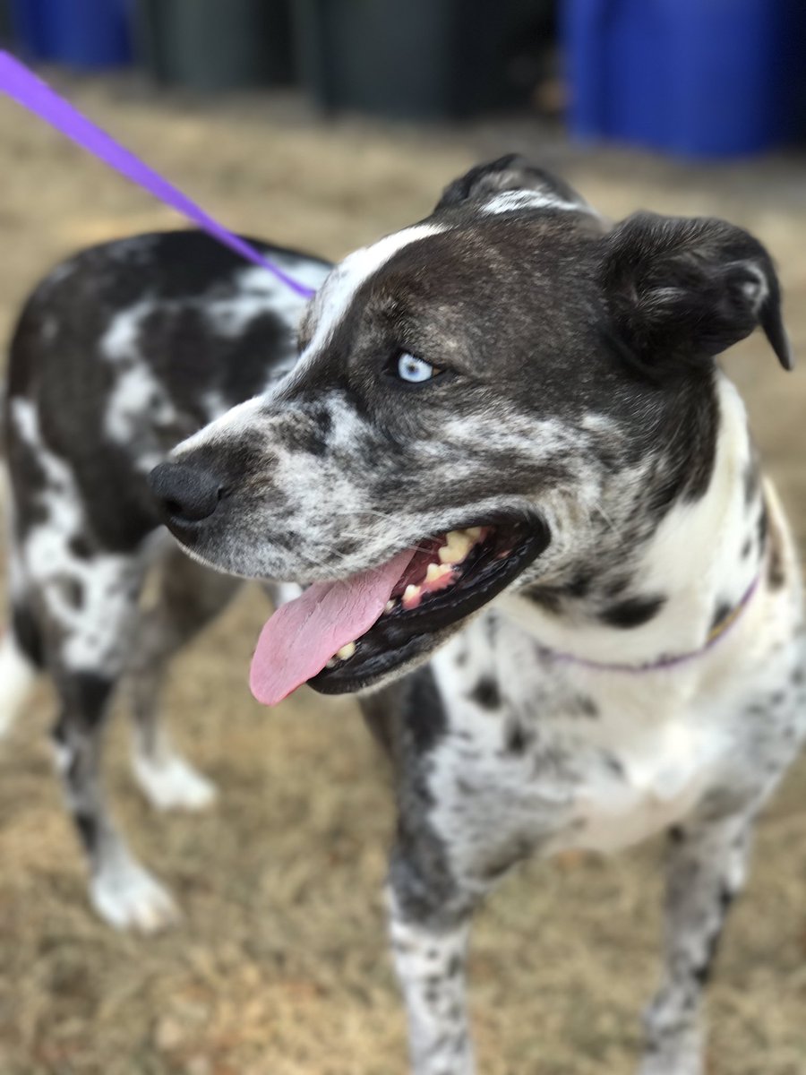 Cookie L Perniciaro tweet media