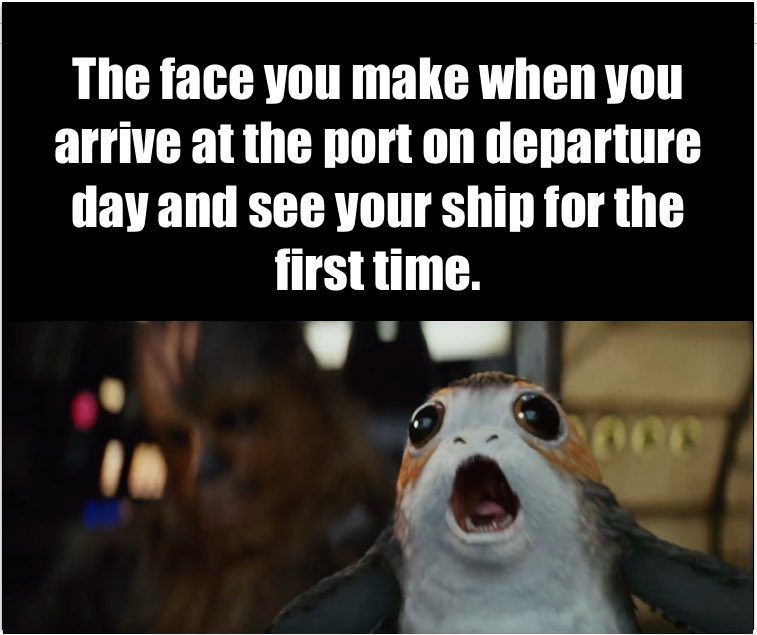 Morgan OBrien on Twitter: "I know the feeling. #StarWarsTheLastJedi #porg #meme  cruise #cruising @RoyalCaribbean @CruiseNorwegian @CarnivalCruise  https://t.co/QogRrldBiy" / Twitter