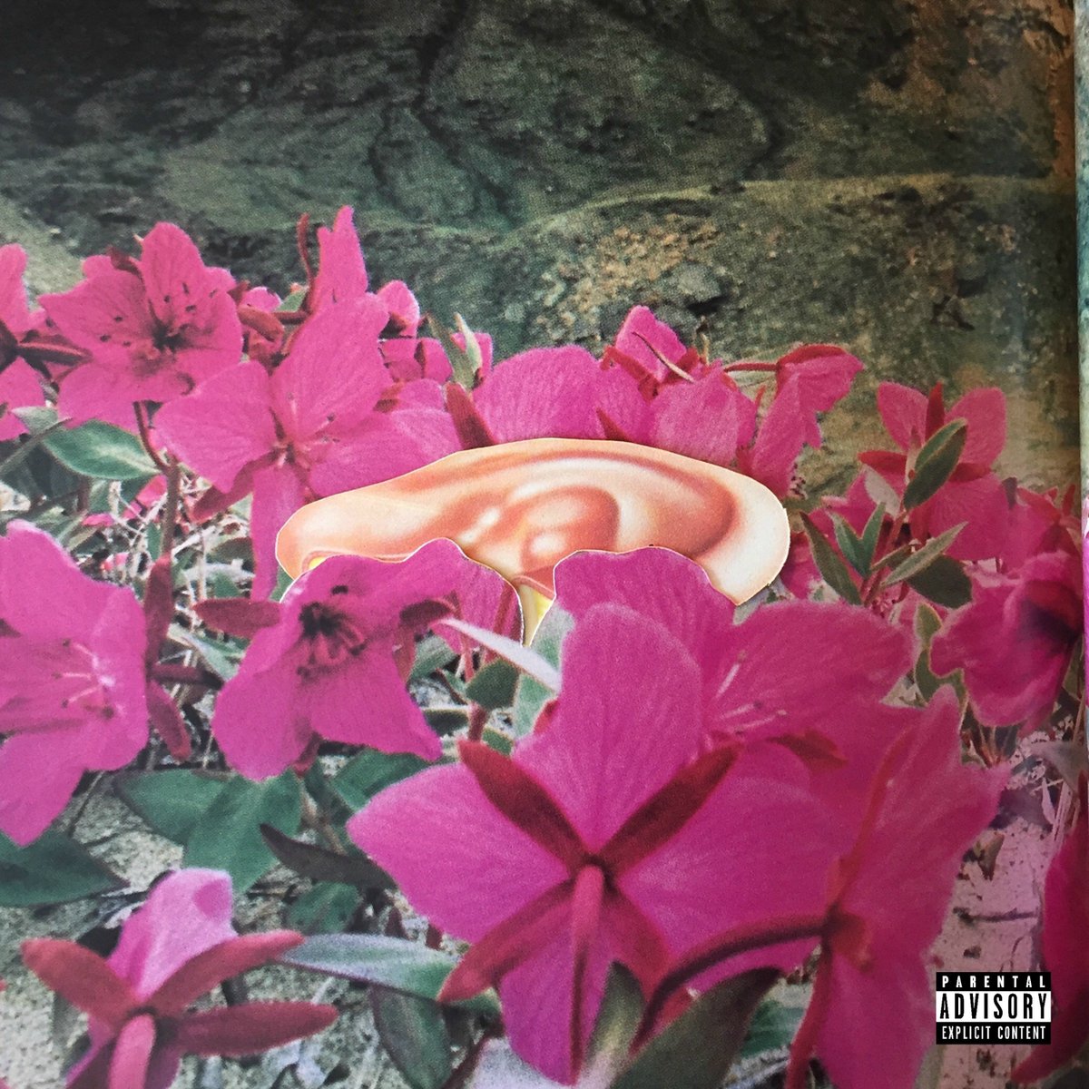 Frankie_Bash's tweet image. NEW NEW w/ @ALLANKNGDM 

produced by @eslackums &amp;amp; myself 

artwork : @PhibDoesThis 

soundcloud.com/frankiebash/ya…