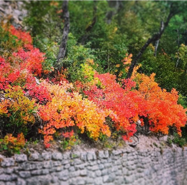 Visiting Provence tweet media