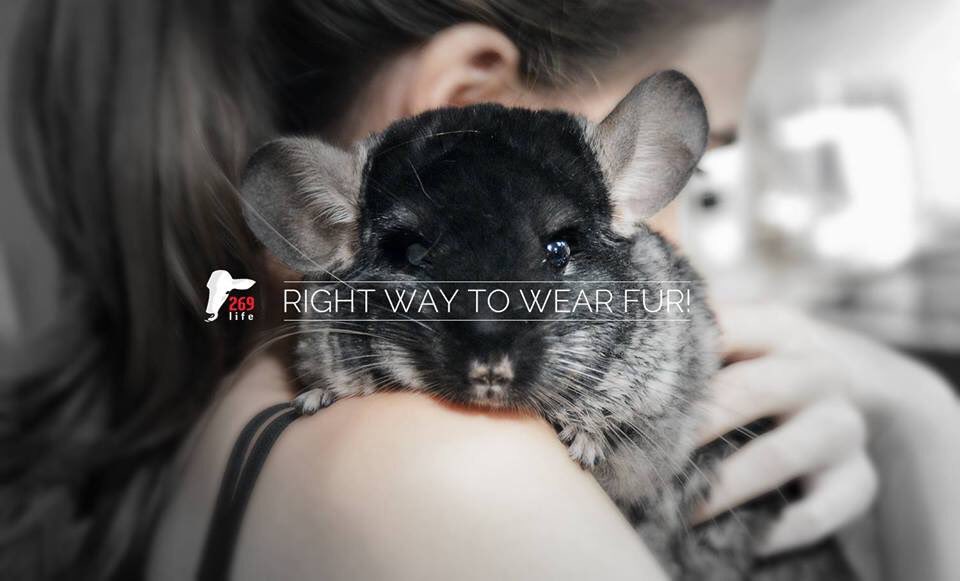 sarakaysen_'s tweet photo. Right way to wear fur. #NoFur
#WearYourOwnSkin
#AnimalRights #Free269 https://t.co/sLYmSEKagr