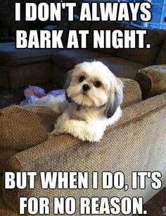 EducatorCollars's tweet image. Curve nuisance barking with the new Educator BP-504 BarkLess #dogsoftwitter