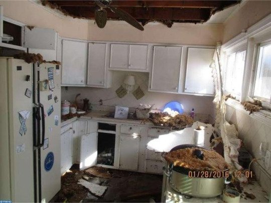 Bad Realty Photos tweet media