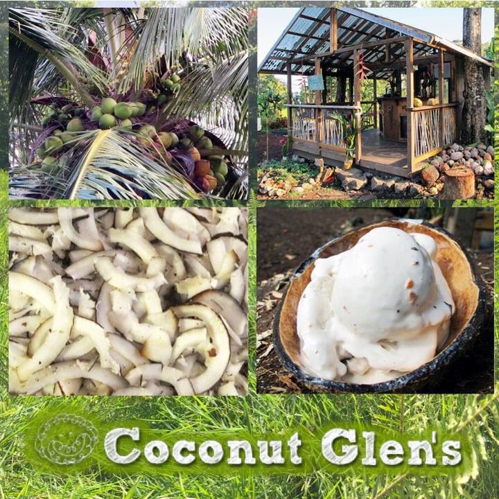 CoconutGlens's tweet photo. Saturated fats present in coconut are made of medium-chain triglycerides which are transformed into energy. #WellnessWednesday #EatHealthy https://t.co/hTw2iEjDj6