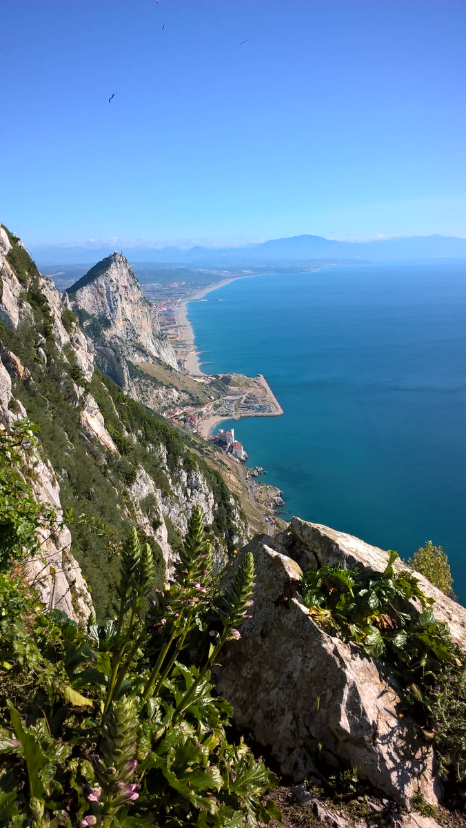 To not climb the #MedSteps in #Gibraltar at least once in life is unthinkable.  #bucketlist