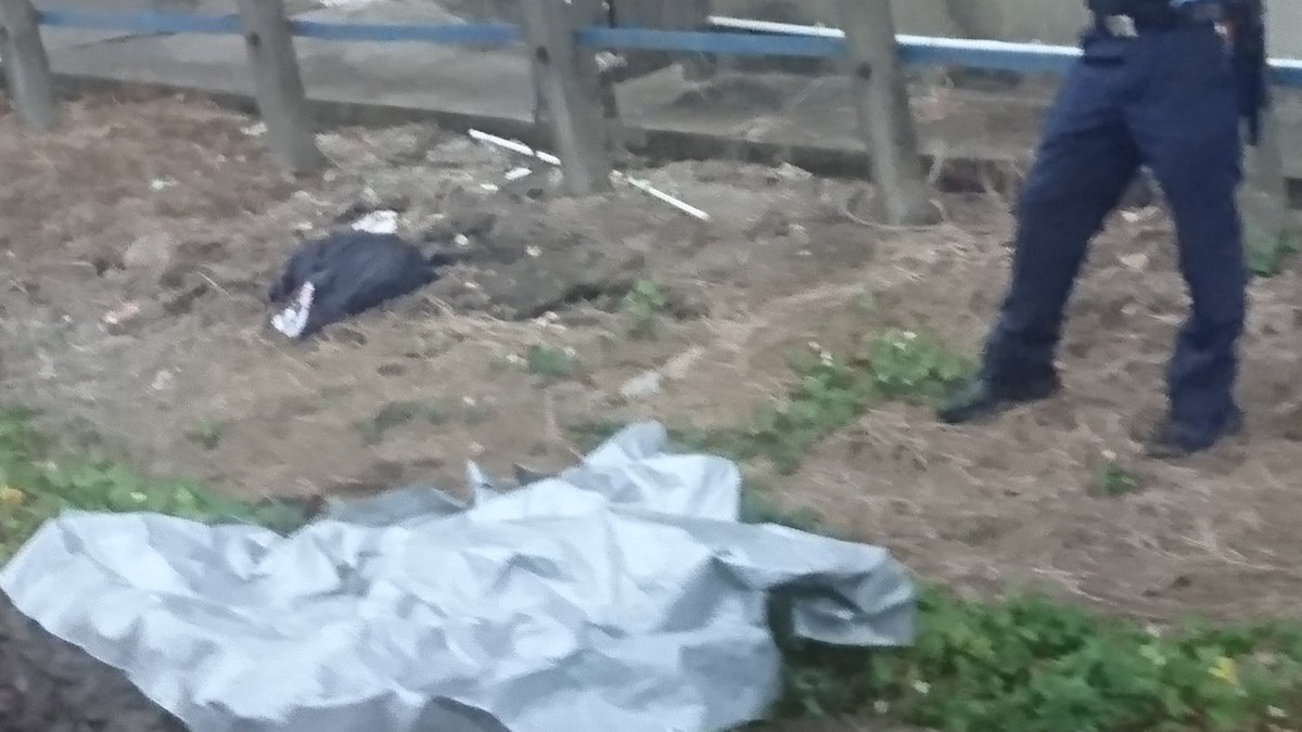 松ちゃん 名鉄名古屋芸大前駅 人身事故