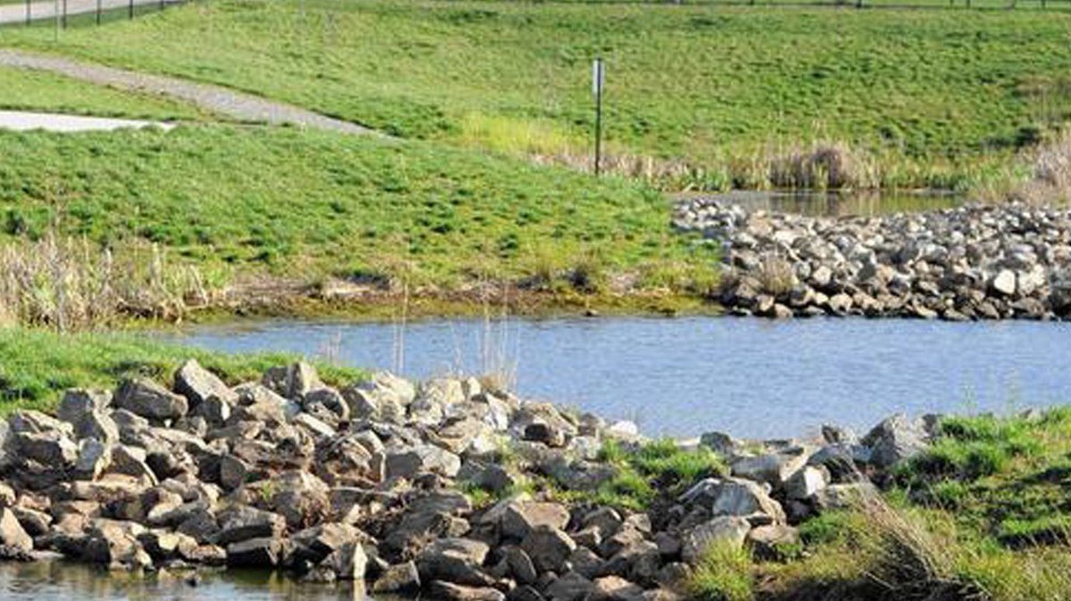 Baltimore Sun Green tweet media