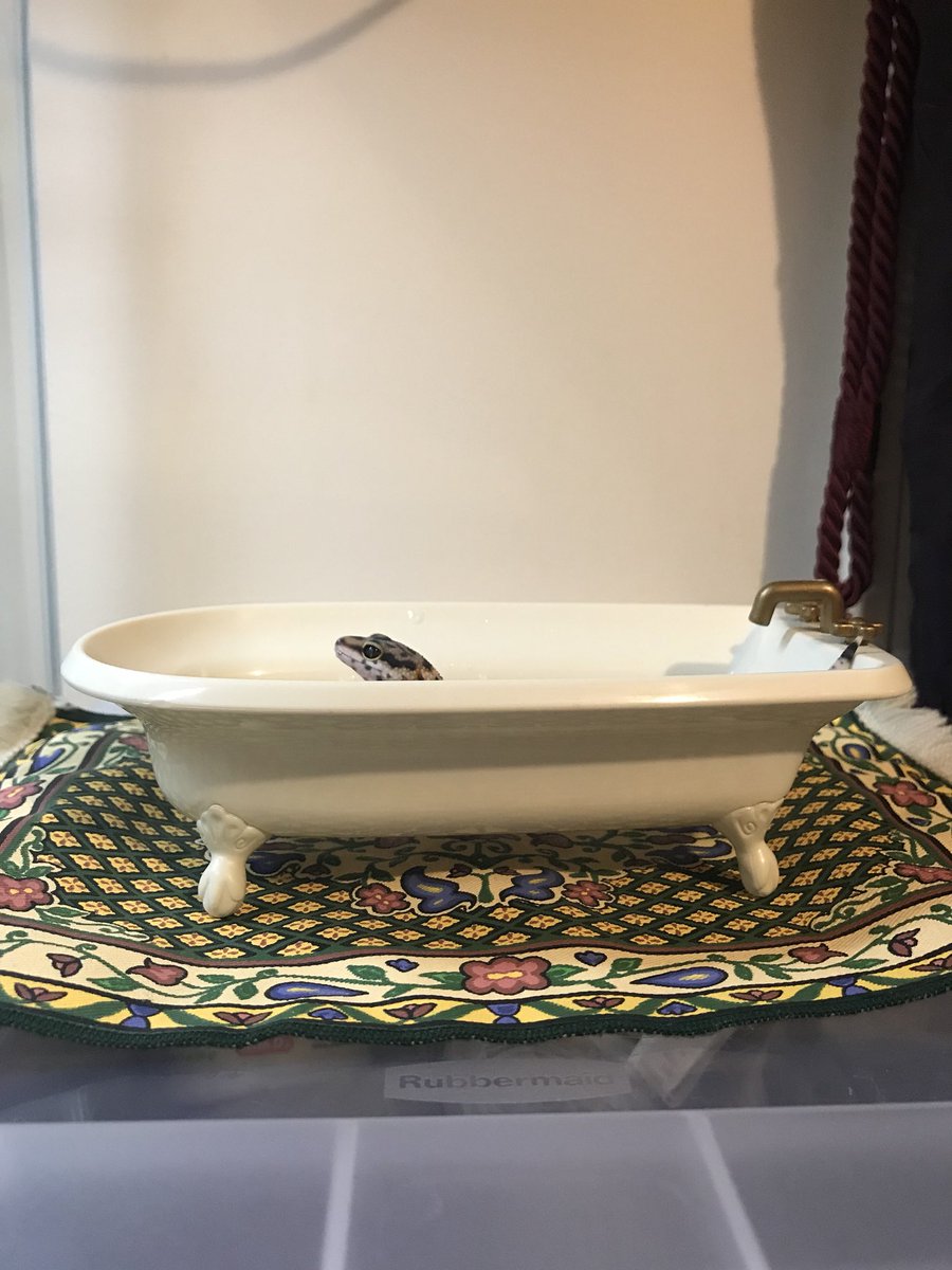 ibuygaymanga's tweet photo. my son loves his bath https://t.co/vis1EJclhN