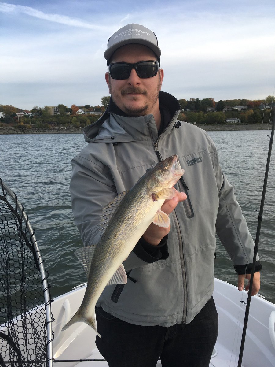 Sebbd05's tweet image. 6 dorés
1 heure de pêche
Journée parfaite
#ardentreels