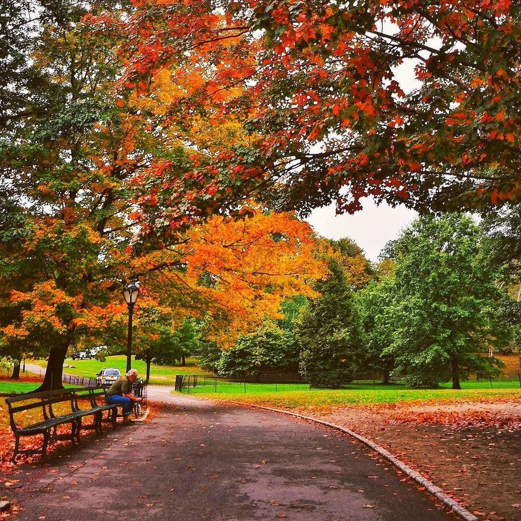 Funny_n_Serious's tweet image. Central Park by gigi_nyc #newyork #nyc