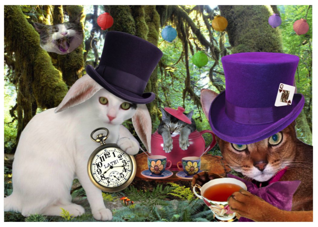 TheAccidentlCat's tweet photo. #TeenReadWeek #YAlit #libraries #library2017 Celebrate teen bks with the Tea and Soliloquies handmade card/print by TheAccidentalCat on Etsy https://t.co/G1OFPHE7P9