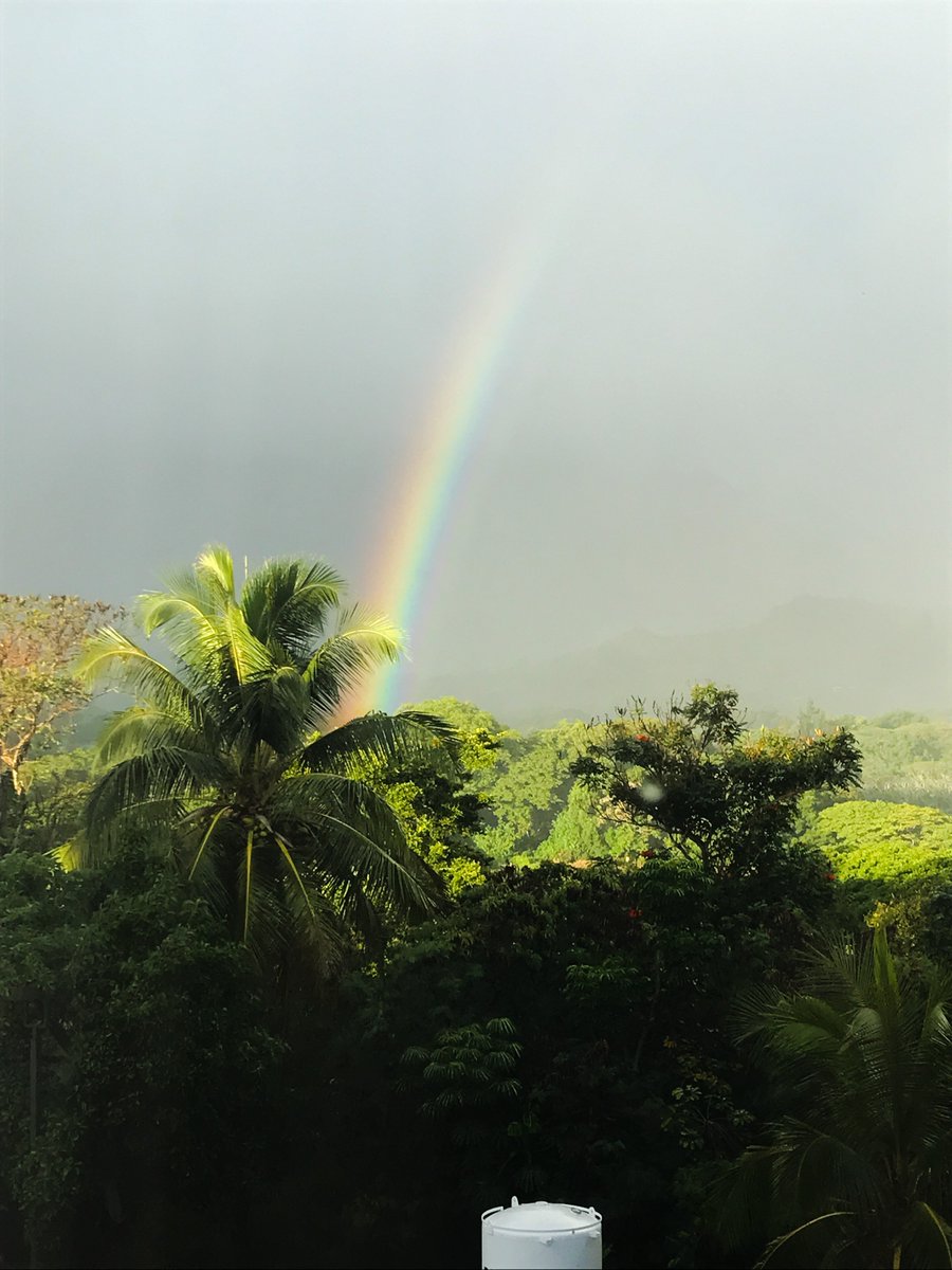 RMckenzieDean's tweet photo. Four years doesn't seem long enough . I want to live here forever 🌴🍍. #LuckyToLiveInHawaii https://t.co/eud1a7iBRi