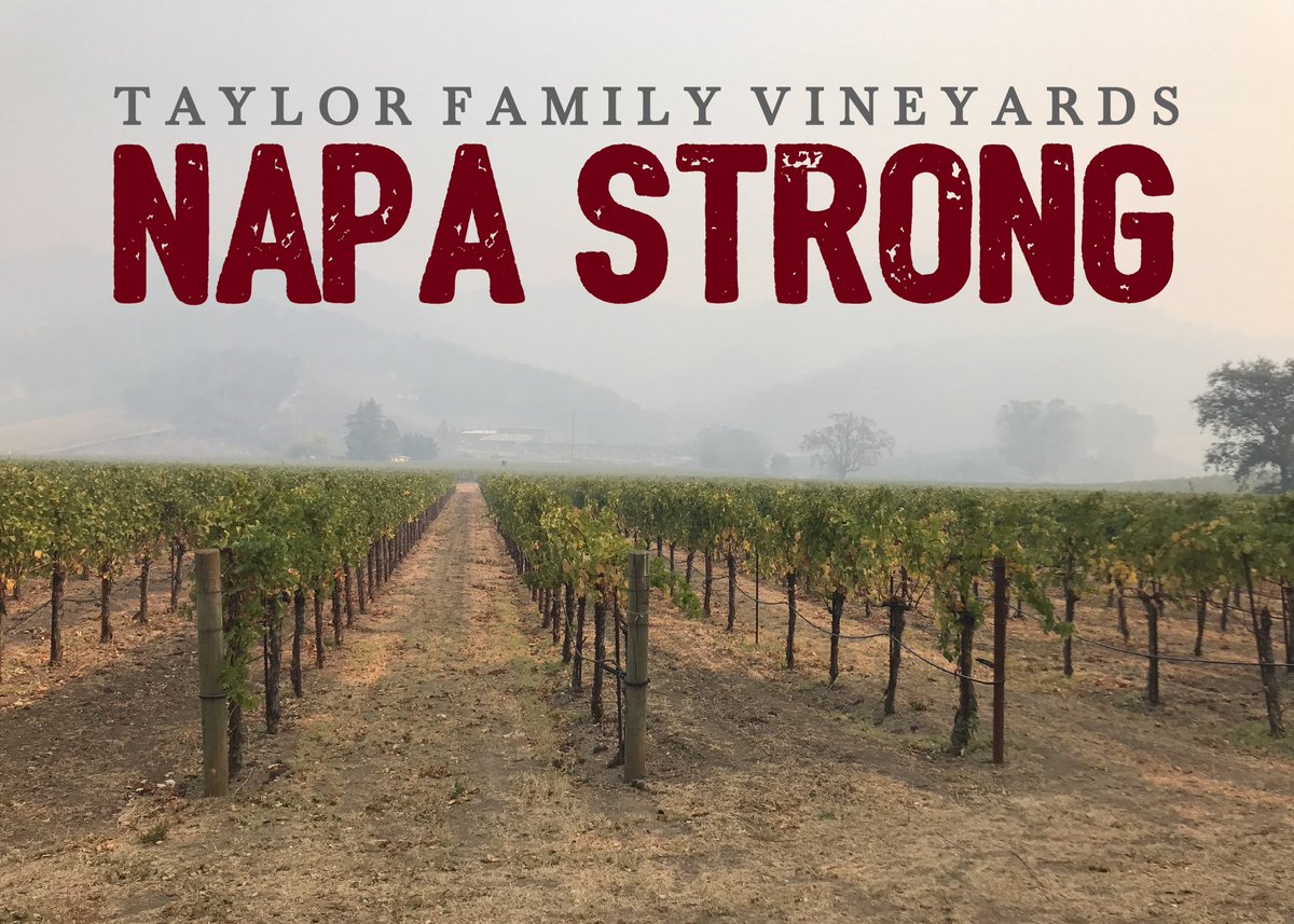 Sandy Taylor Carlson (@taylorvineyards) on Twitter photo 