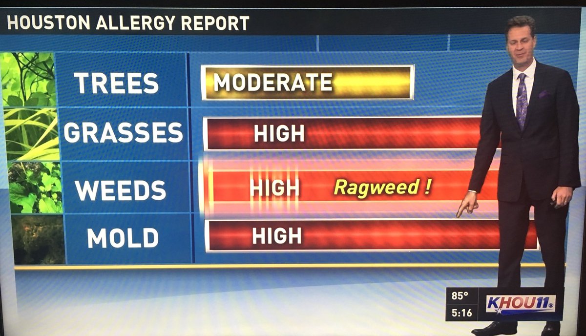TheTiffanyCraig's tweet photo. Raise hand if youβre suffering through this ππ» #allergies #neverhadthembefore #khou11 https://t.co/GjzN7uaa62
