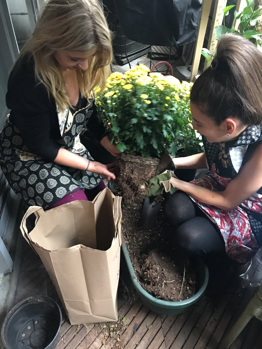 exclusiveprbiz's tweet photo. We got to plant the other day with our client @remodista #happyfernday #goodtimes #prgirls #prhustle #wedoitbetter #gooditmes https://t.co/9nirt7T00M
