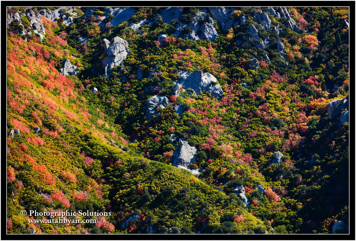 UtahByAir's tweet photo. Awesome colors last Saturday just south of Little Cottonwood Canyon in the Wasatch Mountains. #utahfallcolors #utahbyair #wasatchmountains https://t.co/sSfdChT8Eh