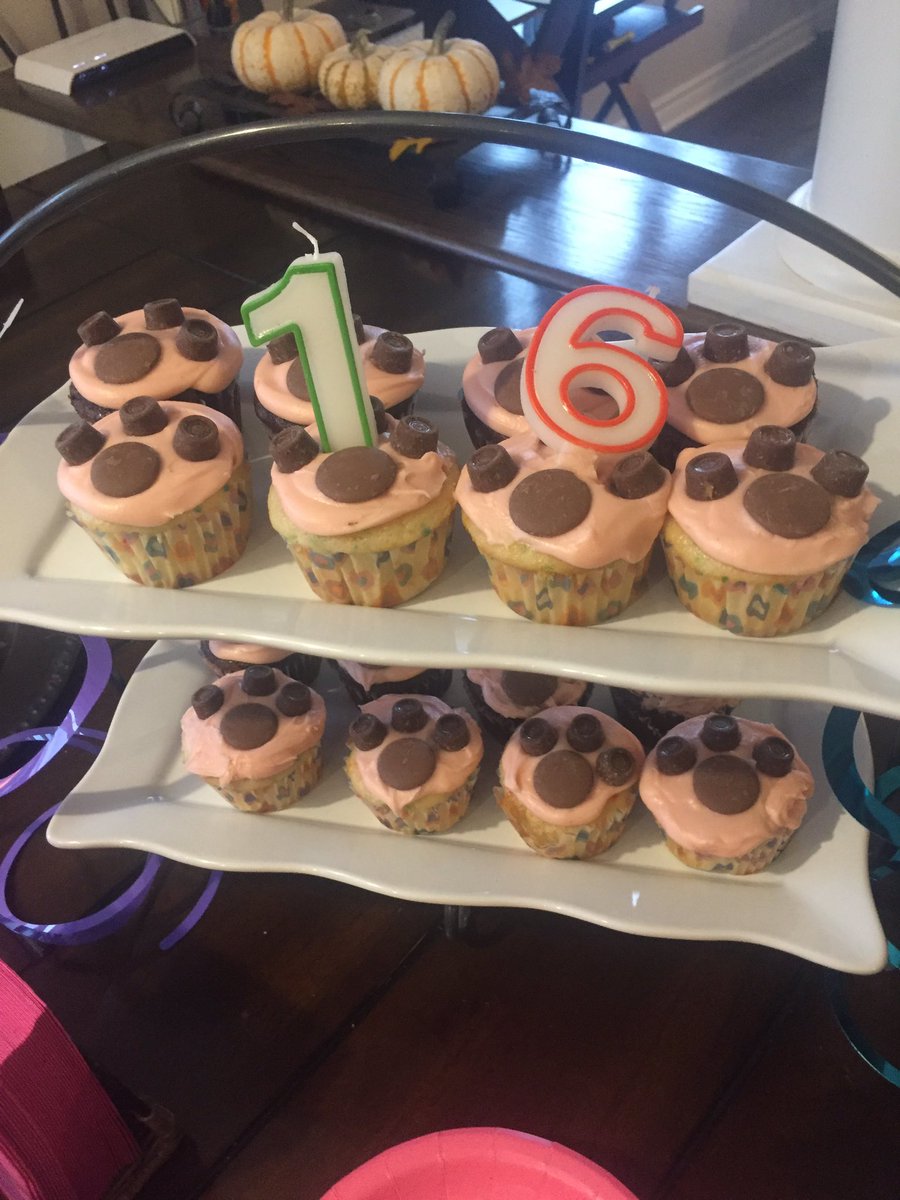 sydgoldy's tweet photo. my mom is the most EXTRA person I've met she deadass threw a sweet sixteen for my dog https://t.co/ssKJ6QYAnP